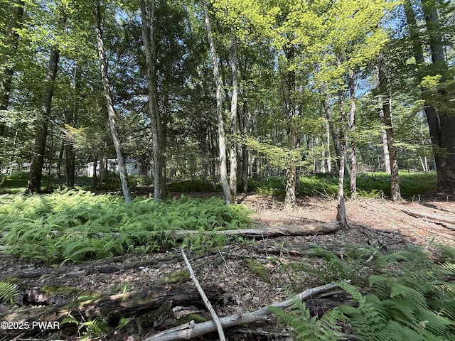 Church Rd, Hawley, PA 18428