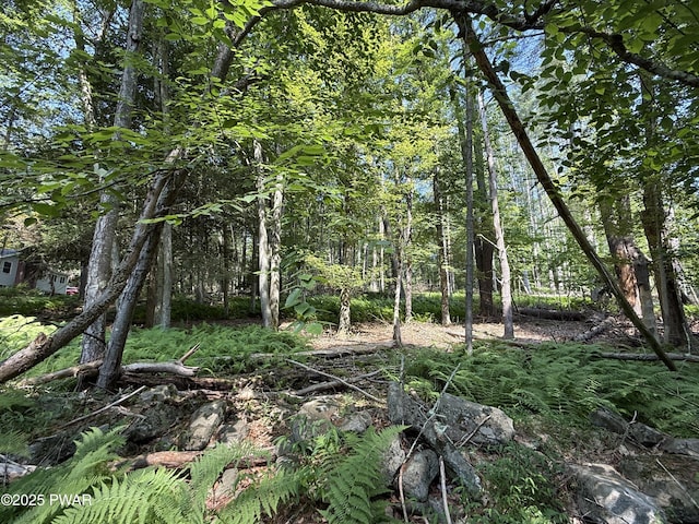 Church Rd, Hawley, PA 18428