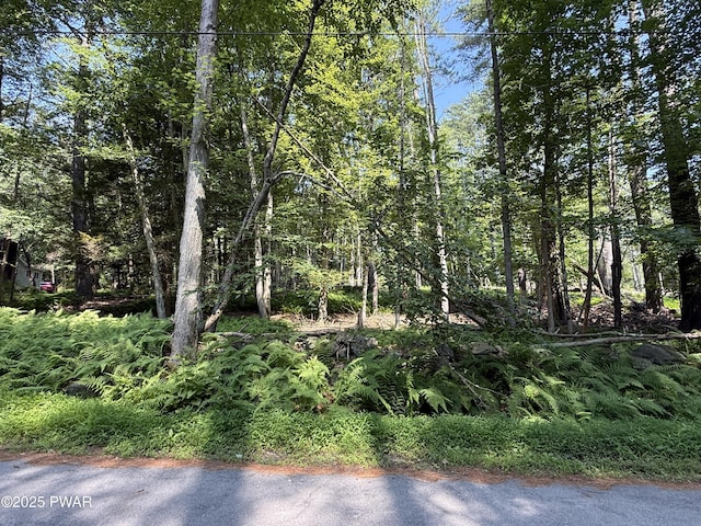 Church Rd, Hawley, PA 18428