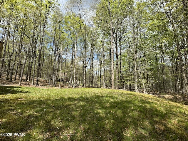 130 Grasshopper Ln, Greentown, PA 18426 - view of green lawn