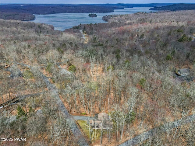 130 Grasshopper Ln, Greentown, PA 18426 - aerial overview of property's location featuring a large body of water and a heavily wooded area