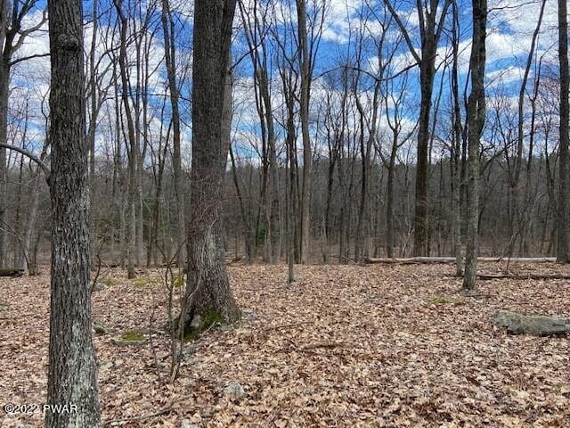 LOT359 Panda Rd, Dingmans Ferry, PA 18328