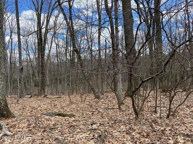 LOT359 Panda Rd, Dingmans Ferry, PA 18328