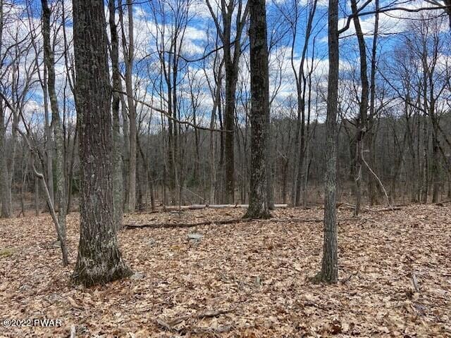 Listing photo 3 for LOT359 Panda Rd, Dingmans Ferry PA 18328