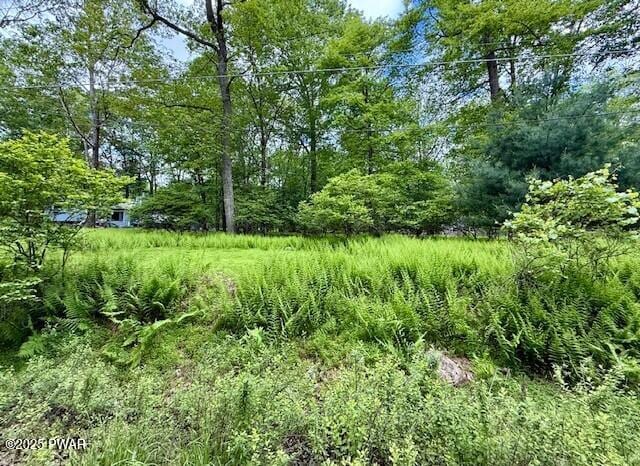 LOT359 Panda Rd, Dingmans Ferry, PA 18328