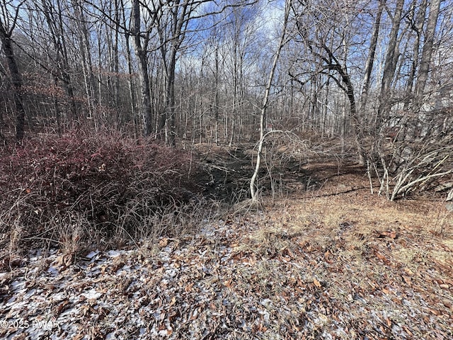 Listing photo 3 for LOT2377 Southport Dr, Bushkill PA 18324