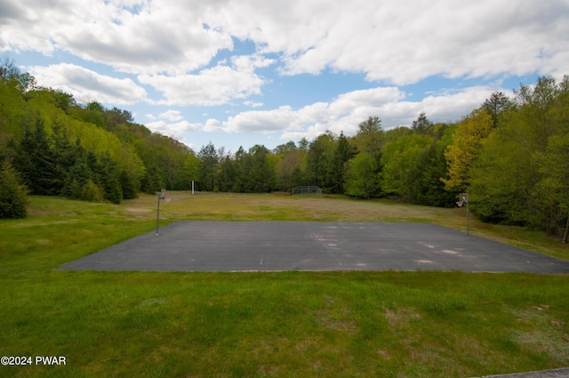 view of property's community featuring a lawn and basketball hoop