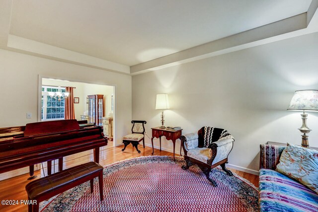 living area featuring hardwood / wood-style flooring and a tray ceiling