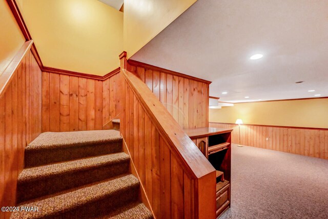 stairs featuring carpet and wooden walls