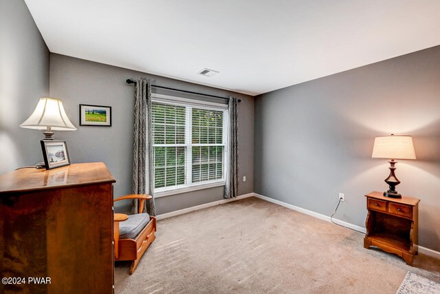 sitting room with light carpet