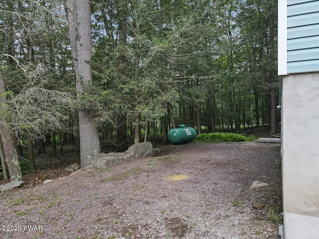 1180 Wallenpaupack Dr, Lake Ariel, PA 18436 - view of yard
