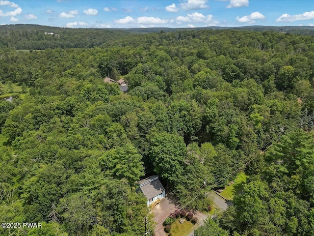 1180 Wallenpaupack Dr, Lake Ariel, PA 18436 - bird's eye view of a forest