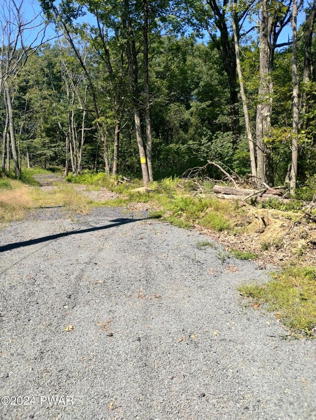 W Shore Dr, Jefferson Township, PA 18436