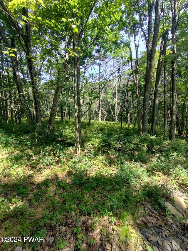 W Shore Dr, Jefferson Township PA, 18436 land for sale