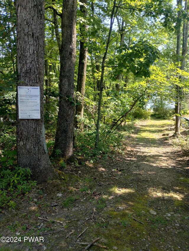 W Shore Dr, Jefferson Township, PA 18436