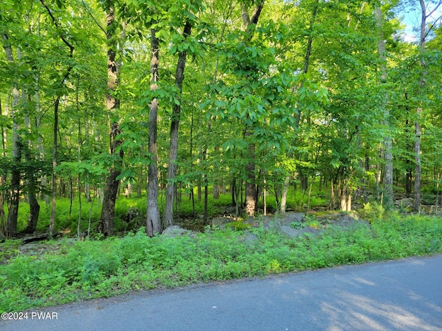 LOT75 Waterforest Dr, Dingmans Ferry PA, 18328 land for sale