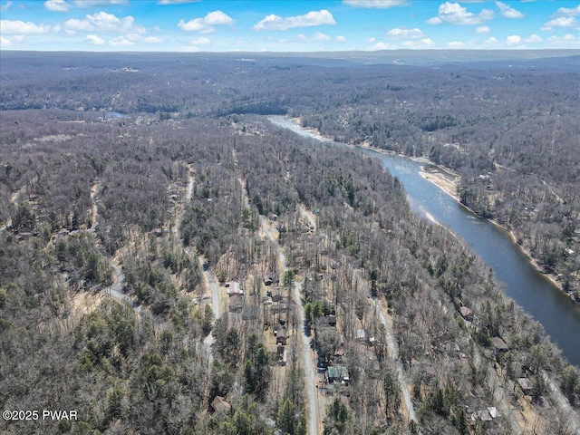 91 Bruin Rd, Lake Ariel, PA 18436 - aerial overview of property's location featuring a heavily wooded area and a nearby body of water