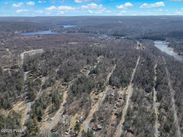 91 Bruin Rd, Lake Ariel, PA 18436 - aerial view of property and surrounding area with a heavily wooded area and a nearby body of water