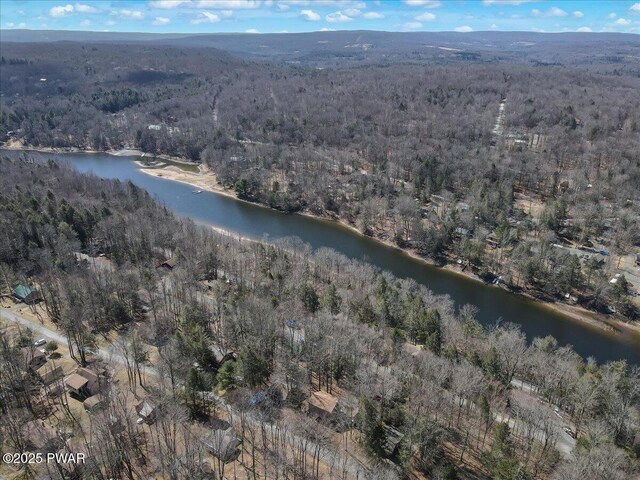91 Bruin Rd, Lake Ariel, PA 18436 - aerial overview of property's location with a heavily wooded area and a nearby body of water