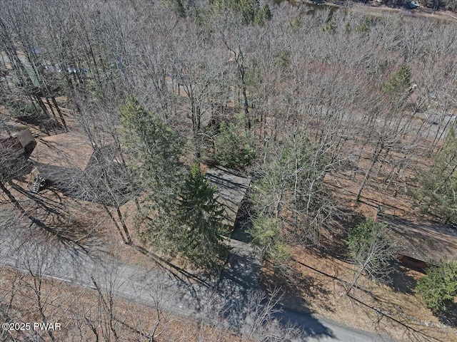 91 Bruin Rd, Lake Ariel, PA 18436 - view of property location