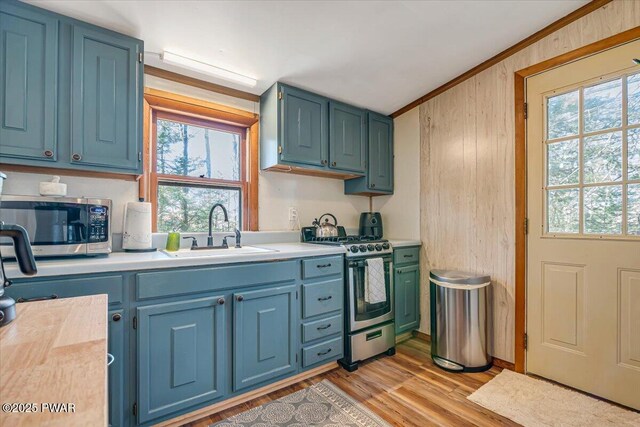91 Bruin Rd, Lake Ariel, PA 18436 - kitchen featuring stainless steel appliances, a sink, light countertops, light wood-style flooring, and blue cabinets