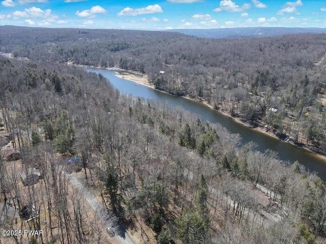 91 Bruin Rd, Lake Ariel, PA 18436 - aerial view of property's location featuring a forest and a nearby body of water