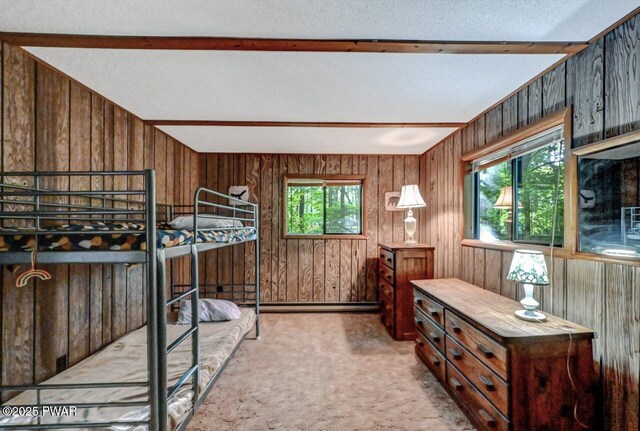 24 Lakewood Dr, Lake Ariel, PA 18436 - carpeted bedroom with wooden walls
