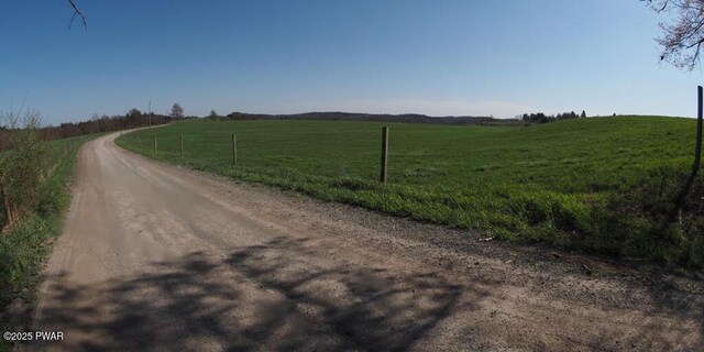 Swendsen Rd, Tyler Hill, PA 18469 - photo 7