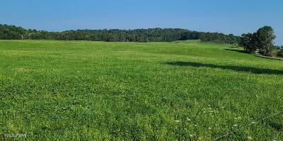 Swendsen Rd, Tyler Hill, PA 18469 - photo 5