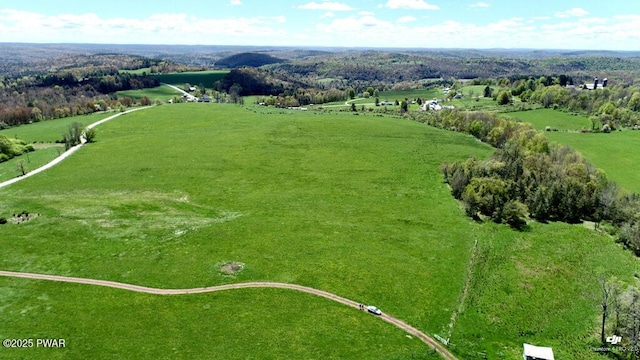 Swendsen Rd, Tyler Hill, PA 18469 - photo 1