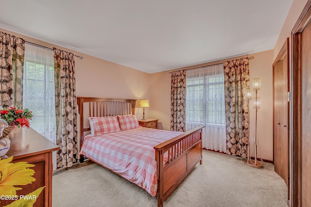 2106 Blueberry Ct, Bushkill, PA 18324 - bedroom with light colored carpet