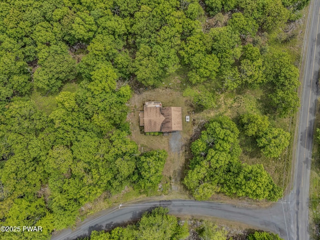 2106 Blueberry Ct, Bushkill, PA 18324 - drone / aerial view