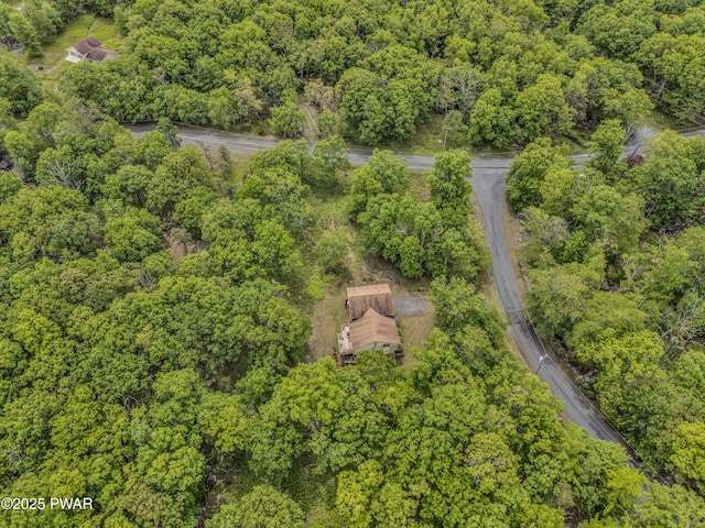 2106 Blueberry Ct, Bushkill, PA 18324 - aerial view of a forest