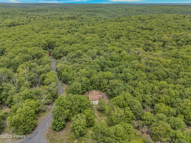 2106 Blueberry Ct, Bushkill, PA 18324 - aerial view of a forest