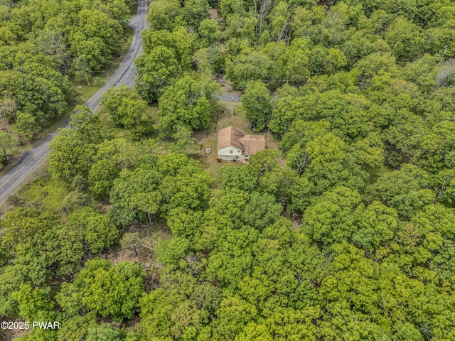 2106 Blueberry Ct, Bushkill, PA 18324 - aerial view of a forest