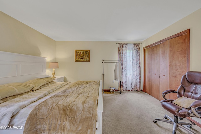 2106 Blueberry Ct, Bushkill, PA 18324 - bedroom featuring carpet flooring and a closet