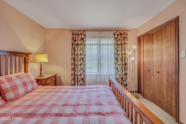 2106 Blueberry Ct, Bushkill, PA 18324 - bedroom with a closet