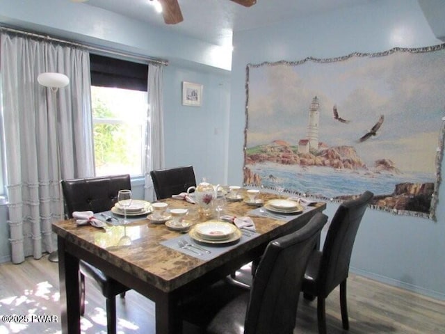 102 Yvonne Ct, Dingmans Ferry, PA 18328 - dining space featuring baseboards, a ceiling fan, and wood finished floors