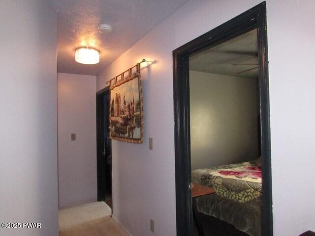 102 Yvonne Ct, Dingmans Ferry, PA 18328 - corridor with carpet