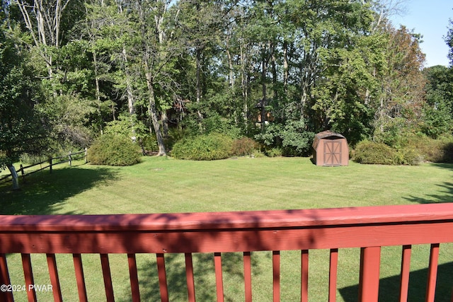 view of yard featuring a shed