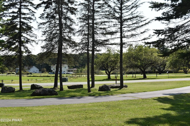 view of home's community with a yard