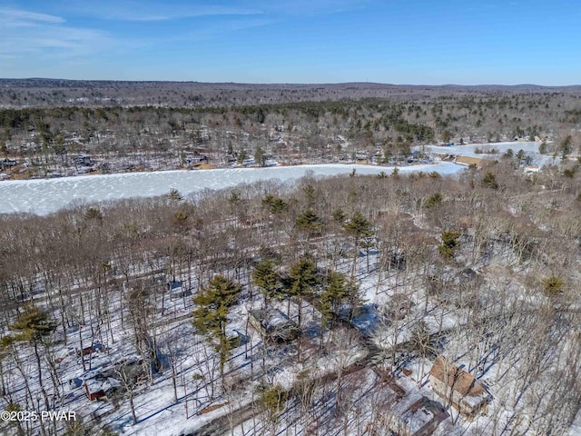 snowy aerial view featuring a mountain view