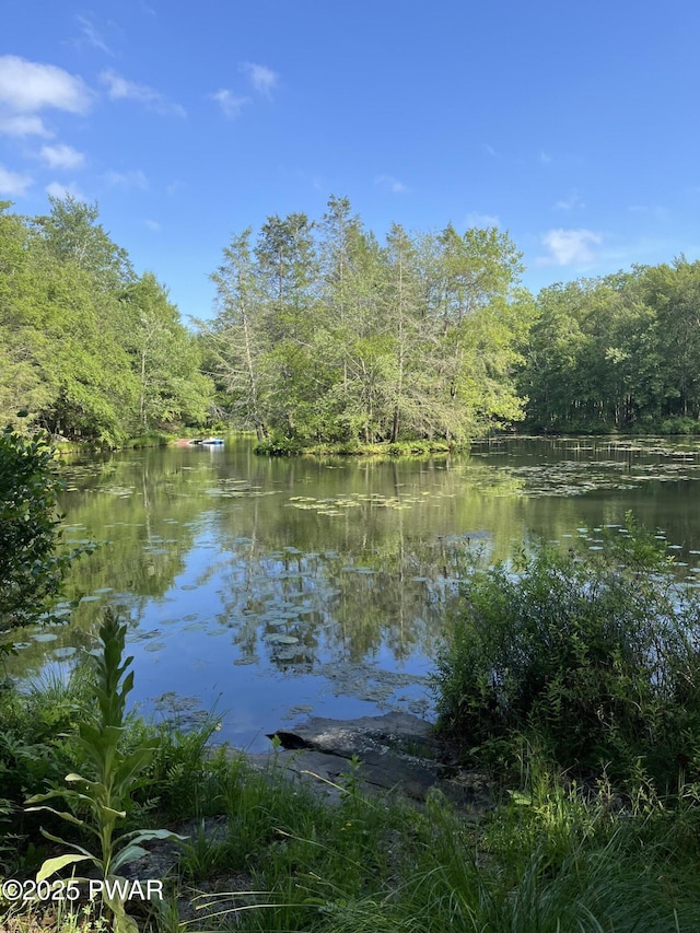 105 Tupelo Dr, Lords Valley, PA 18428 - water view featuring a forest