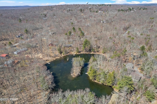 105 Tupelo Dr, Lords Valley, PA 18428 - aerial overview of property's location with a nearby body of water