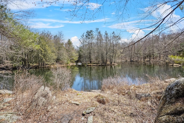 105 Tupelo Dr, Lords Valley, PA 18428 - water view featuring a forest
