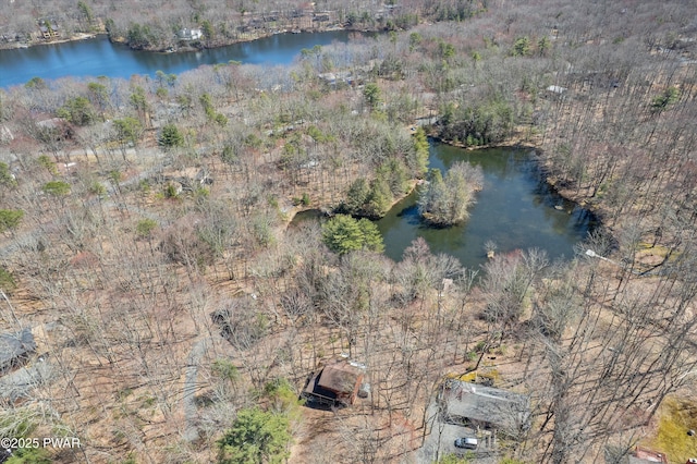 105 Tupelo Dr, Lords Valley, PA 18428 - view of property location featuring a nearby body of water