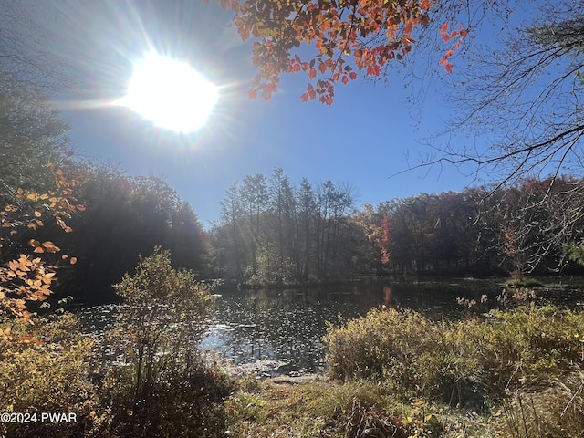 view of landscape featuring a water view