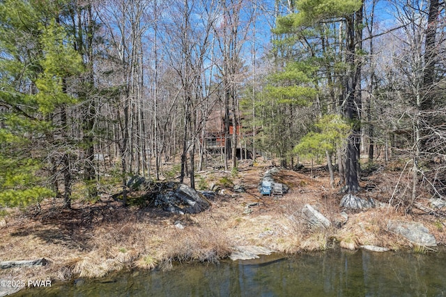 105 Tupelo Dr, Lords Valley, PA 18428 - view of yard
