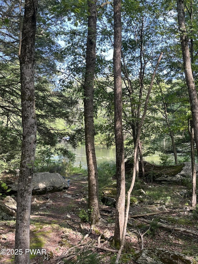 105 Tupelo Dr, Lords Valley, PA 18428 - view of local wilderness
