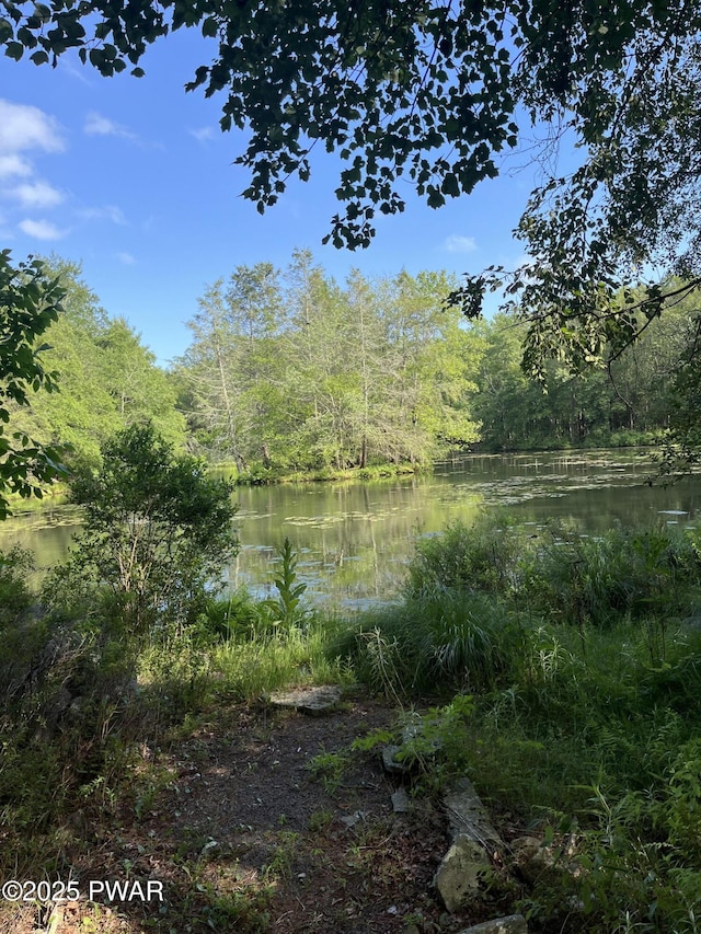 105 Tupelo Dr, Lords Valley, PA 18428 - water view featuring a forest